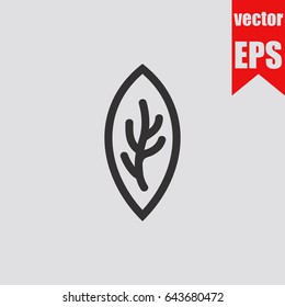 Leaf icon hand drawn doodle sketch isolated on grey background.Vector illustration.