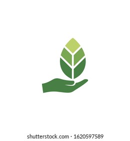 leaf icon herbal symbol design element