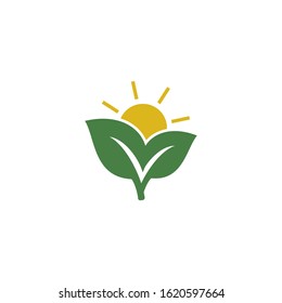 leaf icon herbal symbol design element