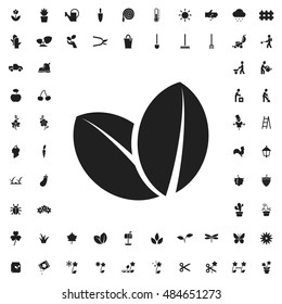 Leaf icon illustration isolated vector sign symbol