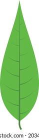 Leaf icon illustration vector design