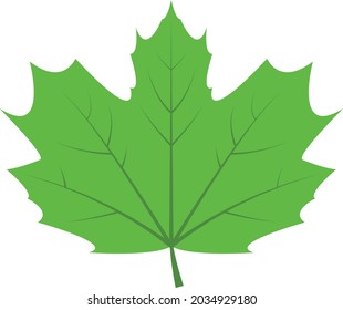 Leaf icon illustration vector design