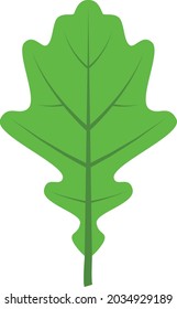 Leaf icon illustration vector design
