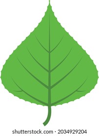 Leaf icon illustration vector design