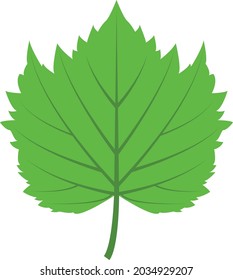 Leaf icon illustration vector design