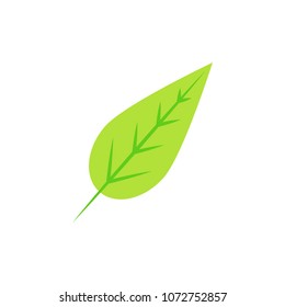 Leaf icon illustration vector symbol