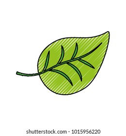 leaf icon image