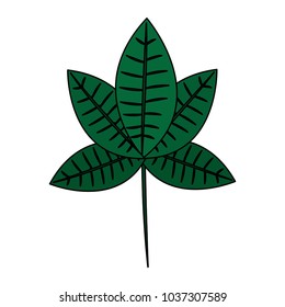 leaf icon image 
