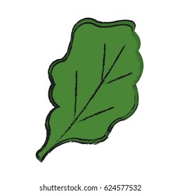 leaf icon image