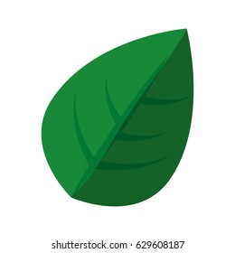 leaf icon image