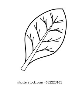 leaf icon image