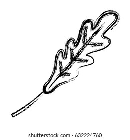 leaf icon image