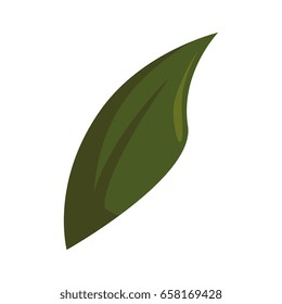 leaf icon image