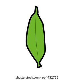 leaf icon image