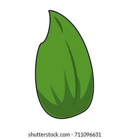 leaf icon image 