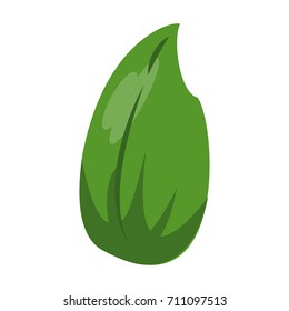 leaf icon image 
