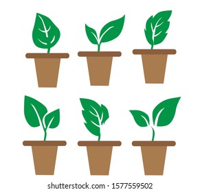 Leaf icon image with various choices
