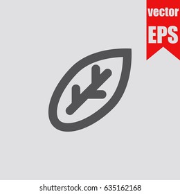 Leaf icon infographic isolated in flat style.Vector illustration.