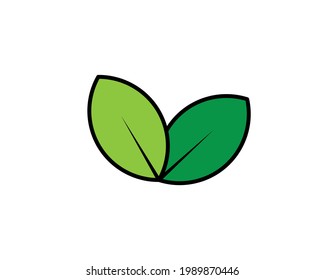 Leaf icon. Isolated ecology and leaf icon line style. Premium quality green tea leaf icon vector symbol drawing concept for your logo web mobile app UI design
