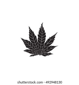 Leaf icon isolated on background. Trendy Simple vector symbol for web site design or button to mobile app.