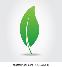 Leaf icon isolated on gray background. Green leaf icon for web site, logo, poster, placard and wallpaper. Creative art concept. Vector illustration