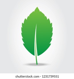 Leaf icon isolated on gray background. Green leaf icon for web site, logo, poster, placard and wallpaper. Creative art concept. Vector illustration