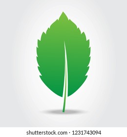 Leaf icon isolated on gray background. Green leaf icon for web site, logo, poster, placard and wallpaper. Creative art concept. Vector illustration