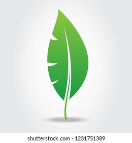 Leaf icon isolated on gray background. Green leaf icon for web site, logo, poster, placard and wallpaper. Creative art concept. Vector illustration
