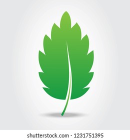 Leaf icon isolated on gray background. Green leaf icon for web site, logo, poster, placard and wallpaper. Creative art concept. Vector illustration