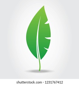 Leaf icon isolated on gray background. Green leaf icon for web site, logo, poster, placard and wallpaper. Creative art concept. Vector illustration