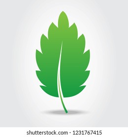 Leaf icon isolated on gray background. Green leaf icon for web site, logo, poster, placard and wallpaper. Creative art concept. Vector illustration