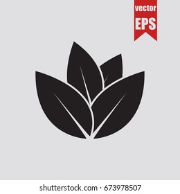 Leaf icon isolated on grey background.Vector illustration.