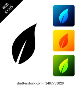 Leaf icon isolated on white background. Set icons colorful square buttons. Vector Illustration