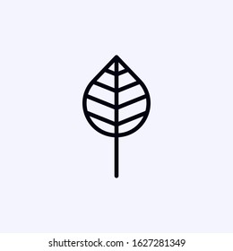 Leaf icon isolated on white background