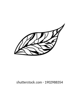 Leaf icon isolated on white background. Abstract leaf logo. Vector illustration