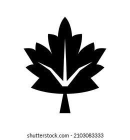 Leaf icon isolated on white background