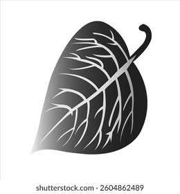 Leaf icon, isolated on white background