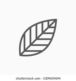 leaf icon, leafs vector