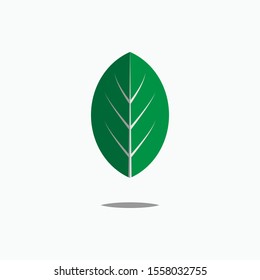 Leaf Icon. Leaves Illustration As A Simple Vector Sign & Trendy Symbol for Design and Sport Websites, Presentation or Application.