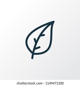 Leaf icon line symbol. Premium quality isolated foliage element in trendy style.