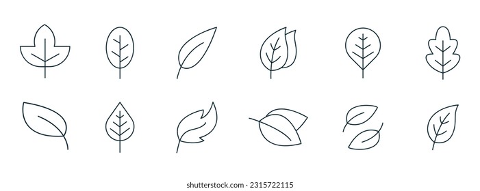Leaf icon line. Vector illustrations of botany, herbal, ecology, bio, organic, vegetarian, eco, fresh, and natural icon set