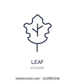 Leaf icon. Leaf linear symbol design from Ecology collection. Simple outline element vector illustration on white background.