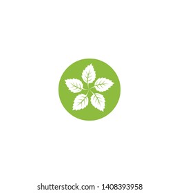 Leaf icon logo design inspiration vector template