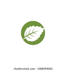 Leaf icon logo design inspiration vector template