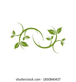 Leaf icon logo design vector template