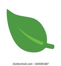 leaf icon. Logo element illustration. leaf design. colored collection. leaf concept. Can be used in web and mobile