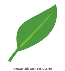 	
leaf icon. Logo element illustration. leaf design. colored collection. leaf concept. Can be used in web and mobile