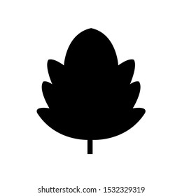 Leaf icon, logo isolated on white background