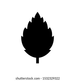 Leaf icon, logo isolated on white background