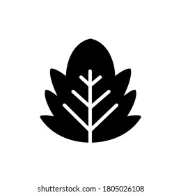 Leaf icon, logo isolated on white background